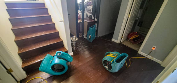 Best Sewage cleanup and water damage restoration  in New Berlin, WI