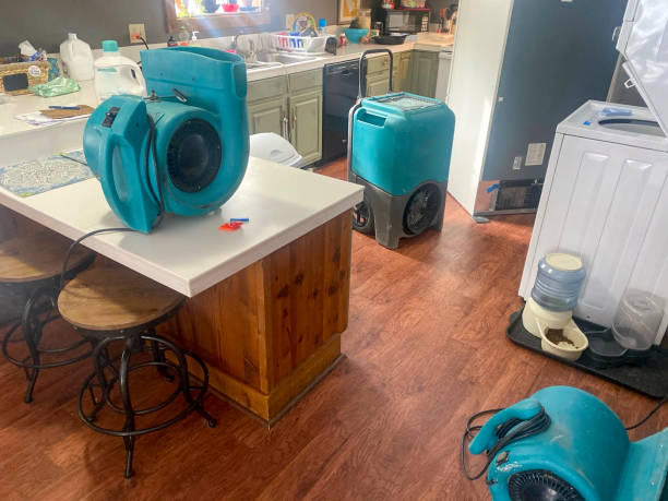 Best Water damage cleanup near me  in New Berlin, WI