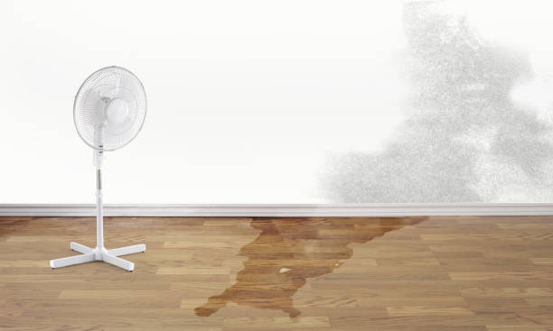 Best Local water damage restoration  in New Berlin, WI