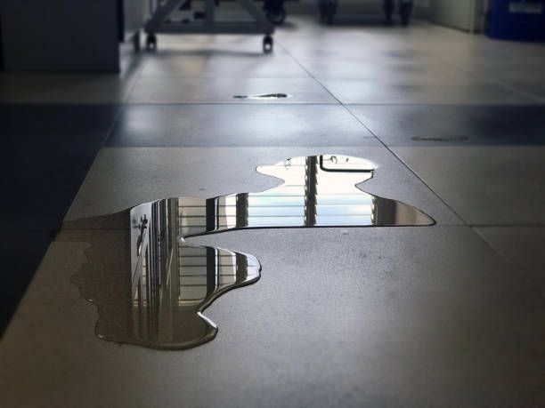 Best Sewage cleanup and water damage restoration  in New Berlin, WI