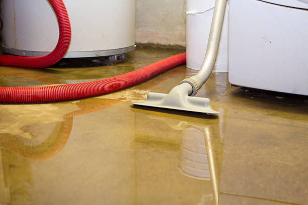 Best Professional water damage repair  in New Berlin, WI