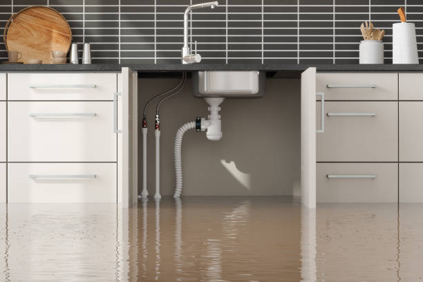 Best Commercial water damage restoration  in New Berlin, WI
