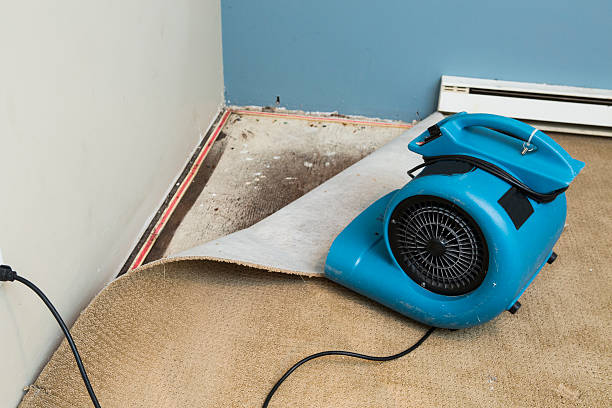  New Berlin, WI Water damage restoration Pros
